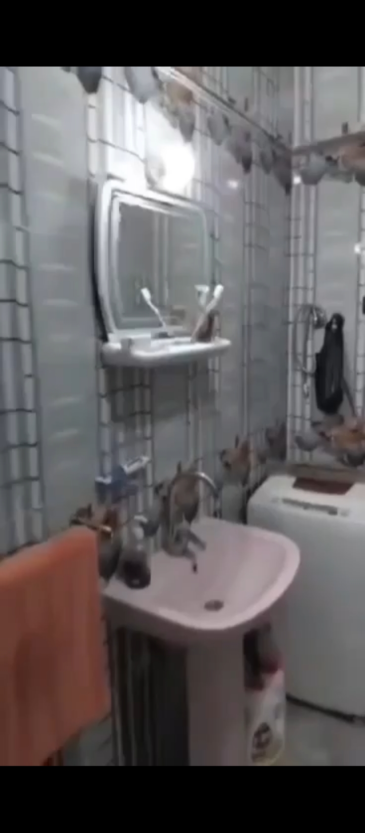 شقه للبيع في الهانوفيل