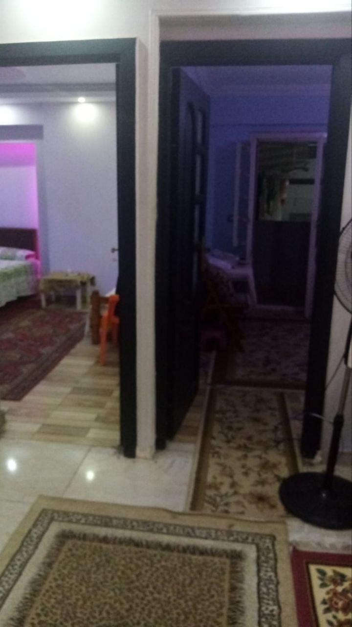 فرصه استثمارية 