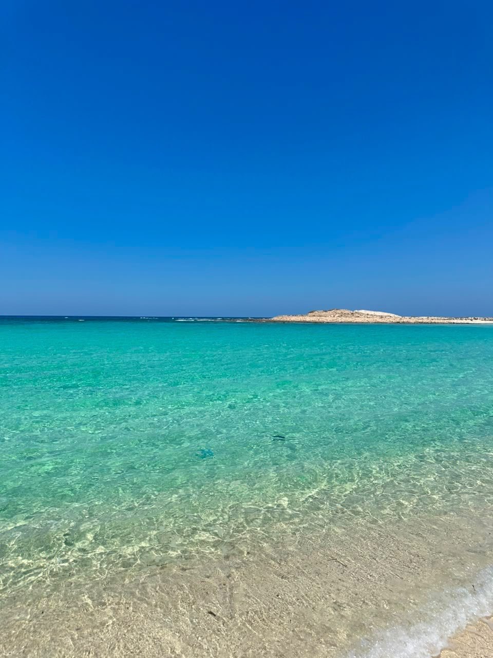 للمتميزين فقط…امتلك وحدتك فى Hacienda- Ras Alhekma
