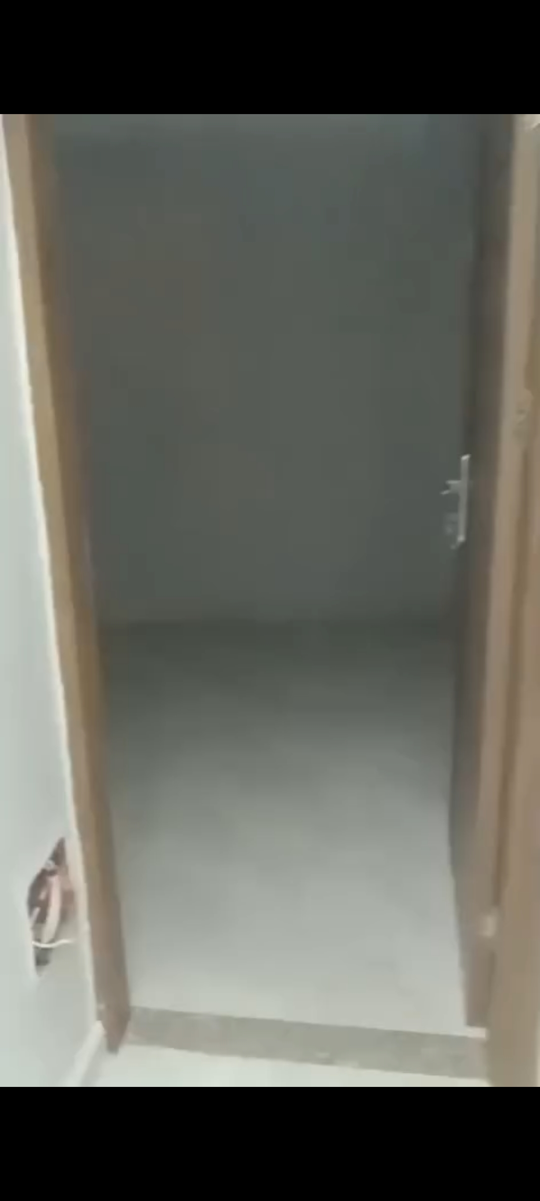 بسعر لقطة 