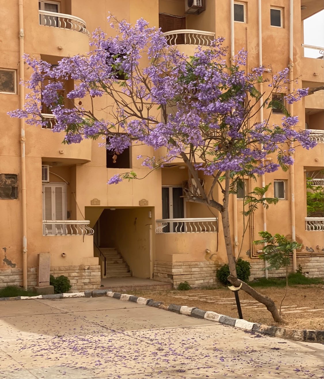 شاليه مميز قريه هايدى K57