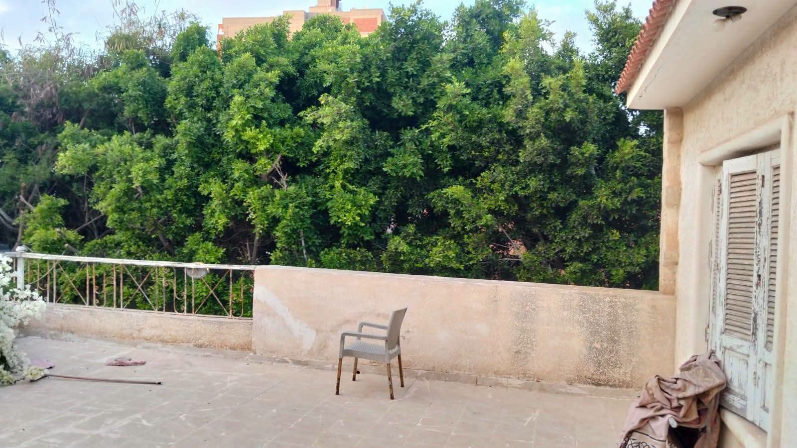 فيلا فاخرة بالبيطاش وسعر مميز 