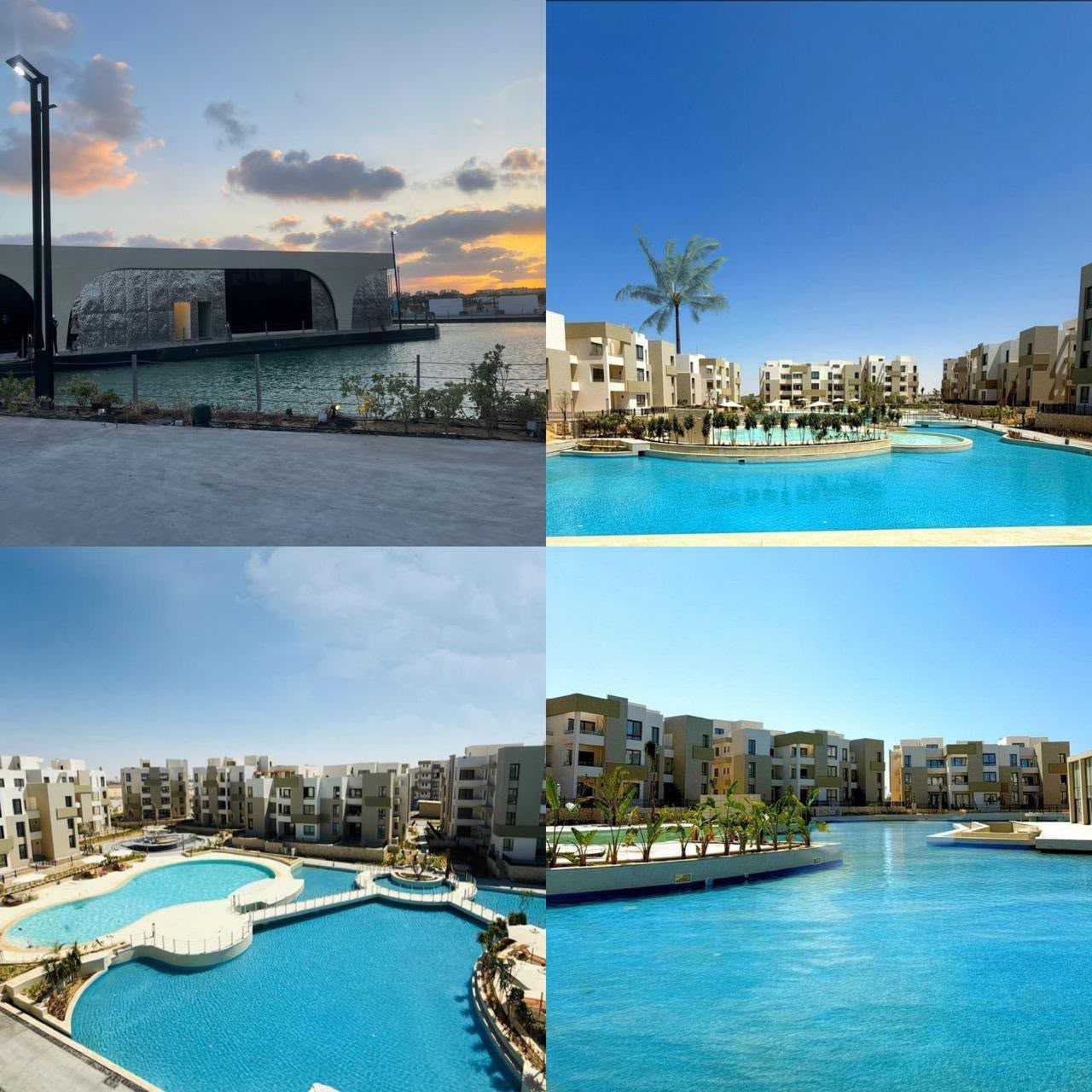 مشروع زهرة العلمين