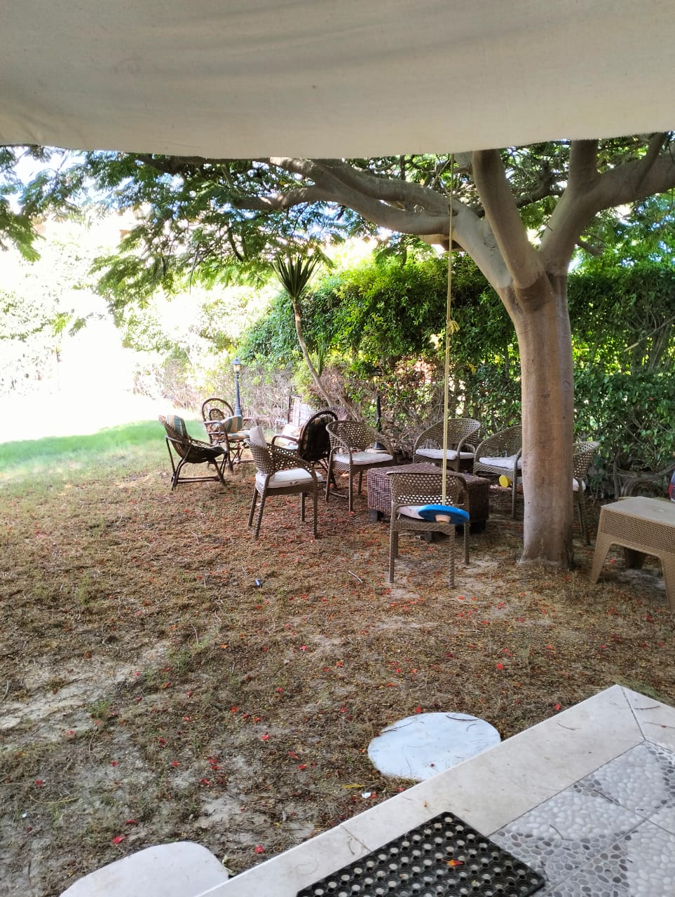فرصة نادرة في مارينا 2 شاليه صف أول بحيرة (Sea & Lake View) بحديقتين أمامية وخلفية 🌊🌴✨