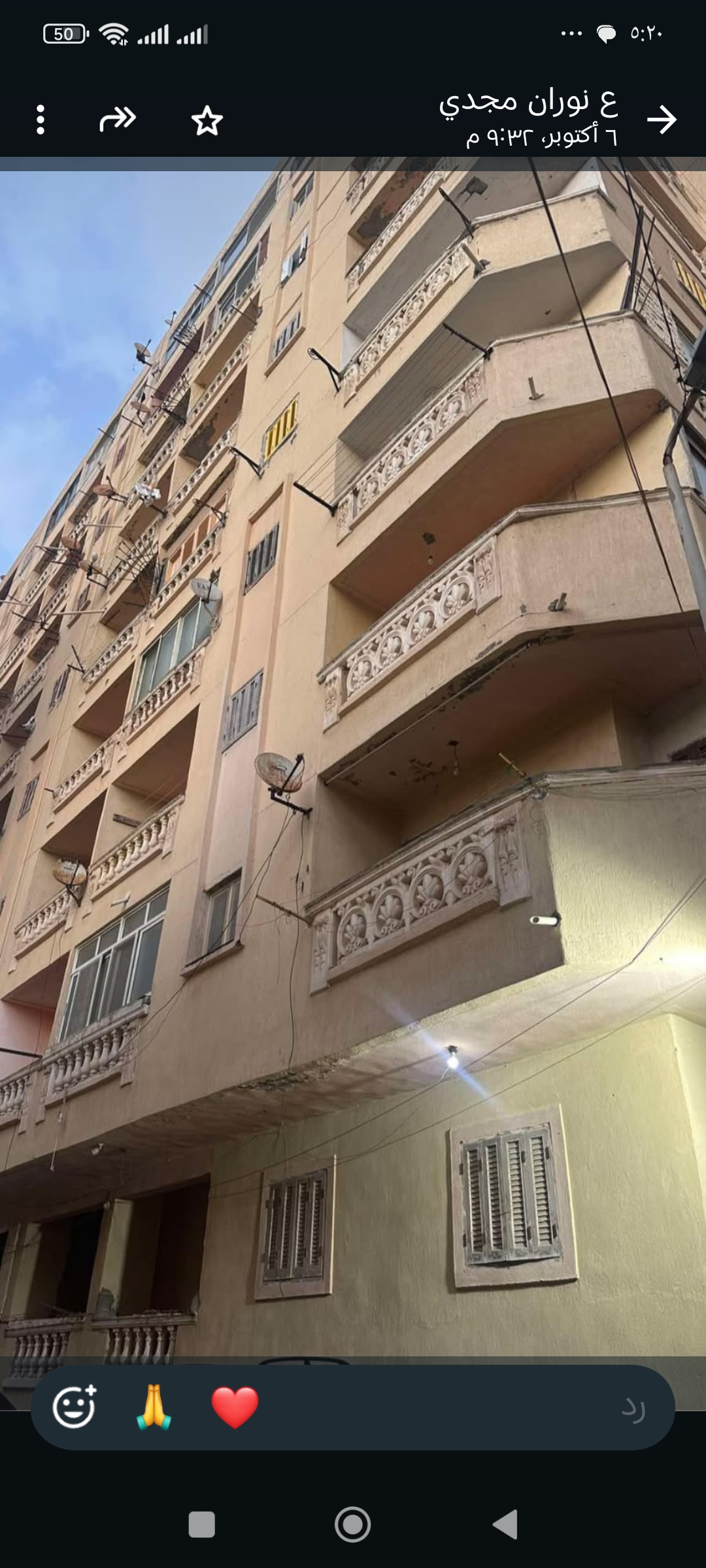 شفه فاخره 