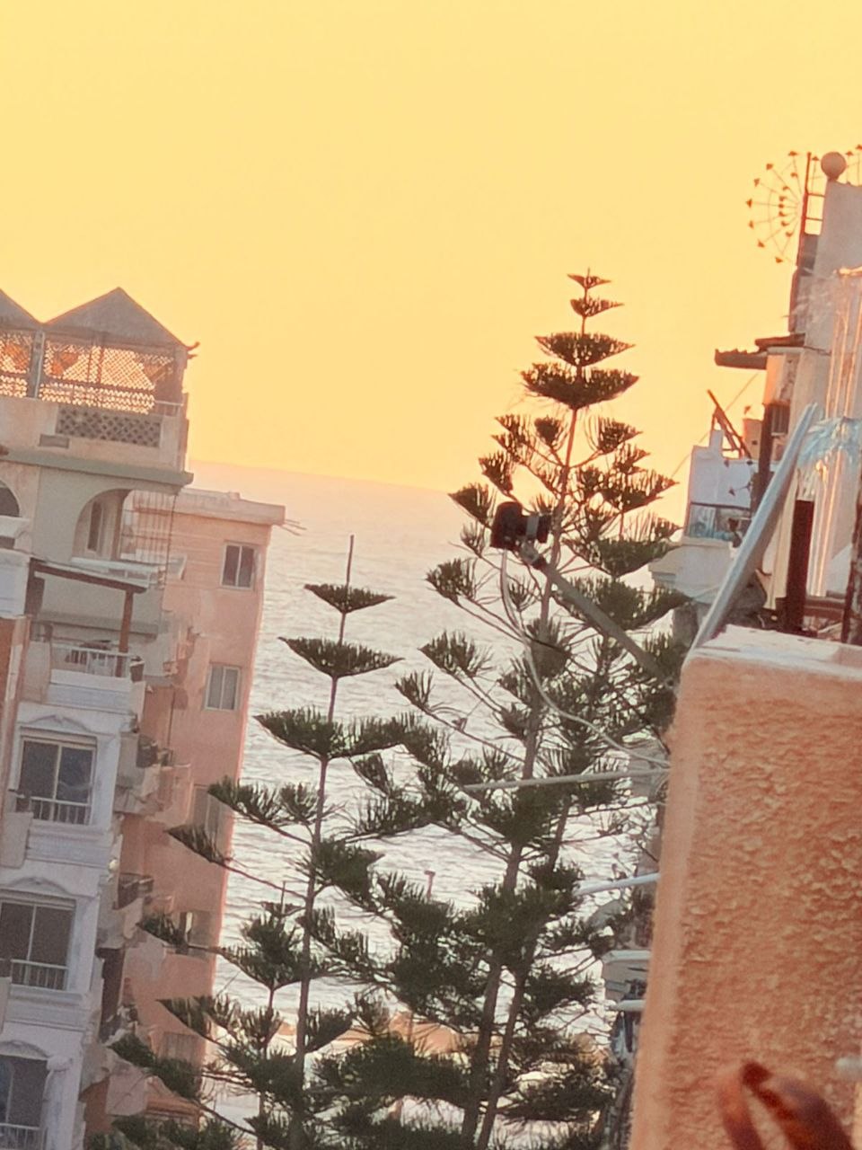 شاليه للبيع فرصه مش بتتكرر  كتير(74)