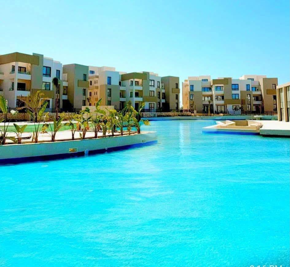 مشروع زهرة العلمين