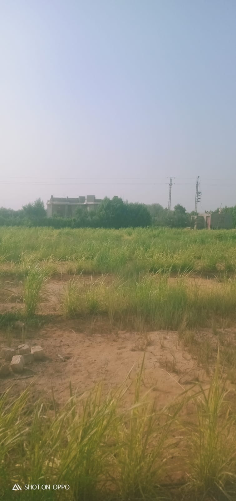 🌾 فرصة استثمارية ذهبية لا تعوض .. مزرعة 28.5 فدان في قلب وادي النطرون (خالصة الوجائب والأوراق)🚜✨