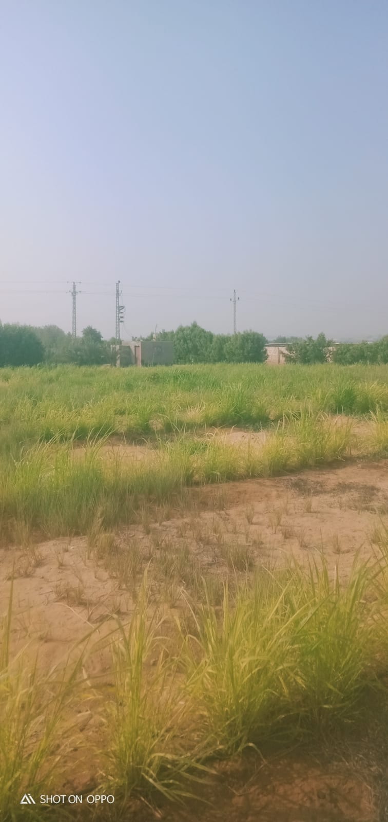 🌾 فرصة استثمارية ذهبية لا تعوض .. مزرعة 28.5 فدان في قلب وادي النطرون (خالصة الوجائب والأوراق)🚜✨