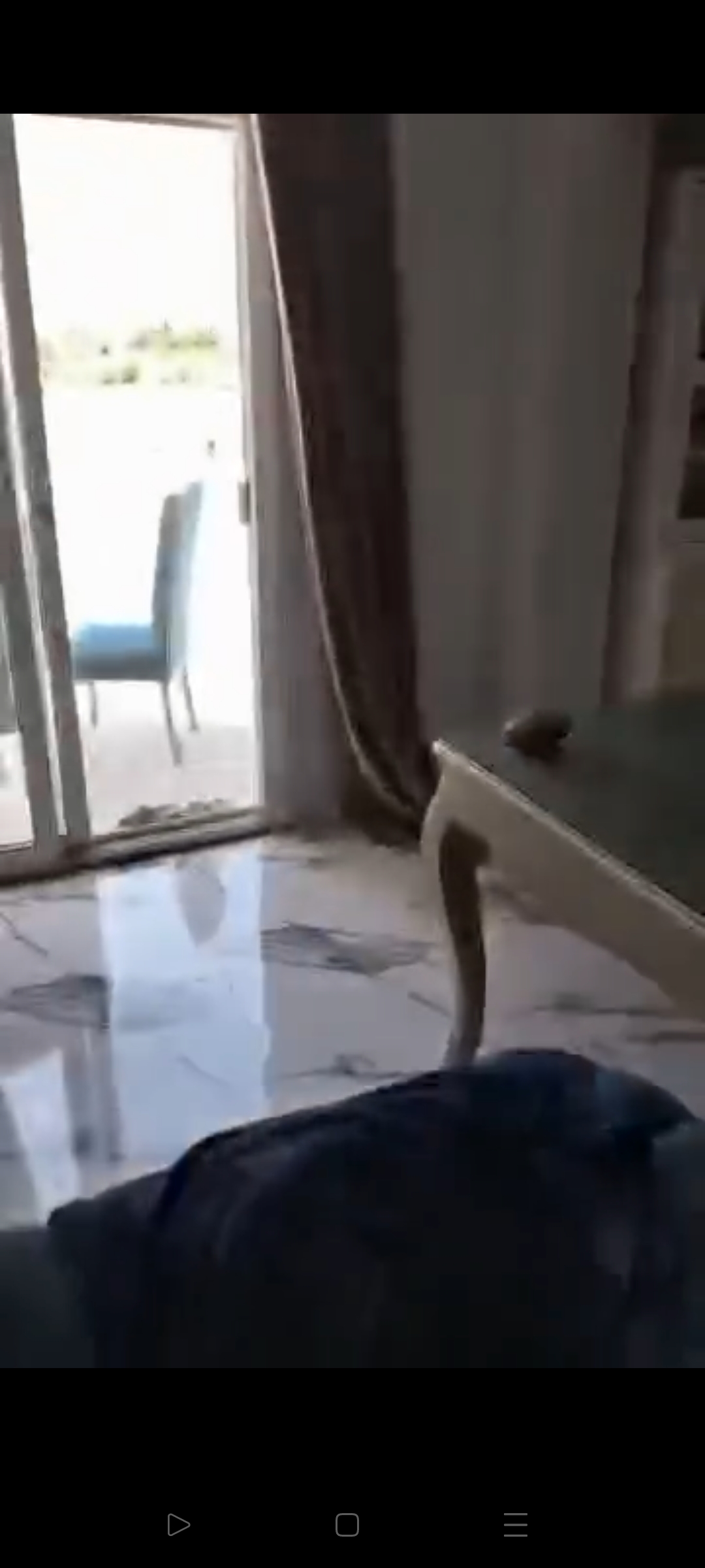 فيلا