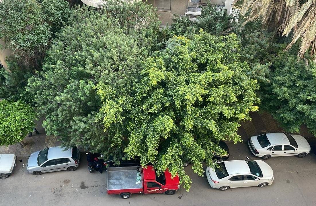 شقه مميزة في سموحه 
