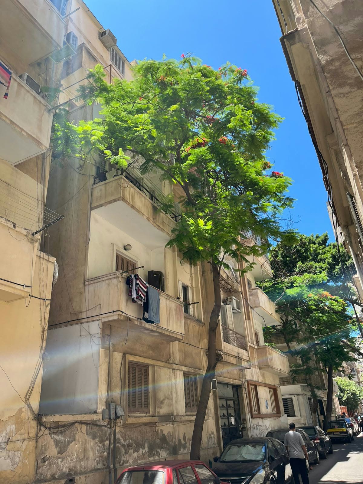 عماره سكنيه في جليم 