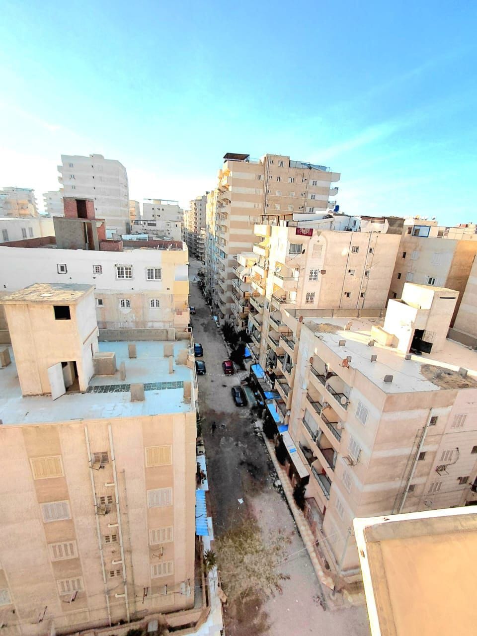 شاطئ النخيل
